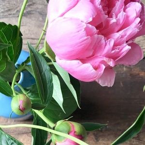 Meet your Posher, Matthew